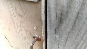 ДЕРЕВЕНСКАЯ ЖИЗНЬ🏡🏡🏡.