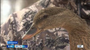 09:30 ВЕСТИ САХА 22/04/26 НА ЯКУТСКОМ ЯЗЫКЕ