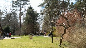 Светлогорск курортный город прогулка по городку