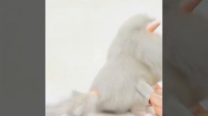 моё нейро 3 часть