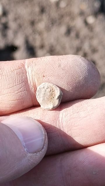 Нашли неведомую пломбу #shorts #неведомоенечто #metaldetecting #металлоискатель #находки