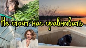 🩷Утренний променад/ Ответы на вопросы/ Уборка придомовой.