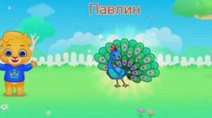 Мульт-развивашка, детский познавательный мультфильм, видео-головоломка.