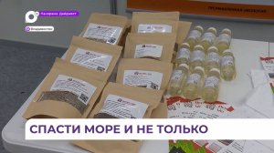Одна из ДВ компаний производит сорбенты для устранения разлива нефтепродуктов