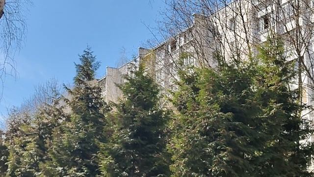 ПРИВЕТОВ НЕТ И НЕ БУДЕТ НЕ ДОЖДЕТЕСЬ