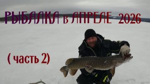 РЫБАЛКА на БЛИЖНЕМ зимовье. АПРЕЛЬ 2026 (часть 2)