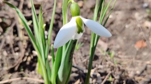 15.04.26/первые уколы🫣/новые игры/мои растюшки 🌱/работа 🤯