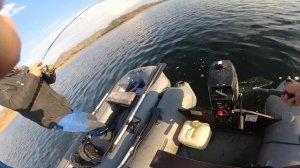 Крупный ОКУНЬ Теньга (архив 2019)