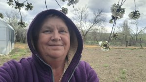 470. Привет из Крыма. Сады цветут... 22.04.26.