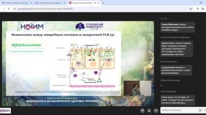 Микробные метаболиты как регулятор работы иммунной системы