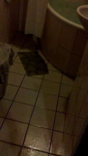 49)Ю АЛУШТА КВАРТИРА ВИОЛЕТТА