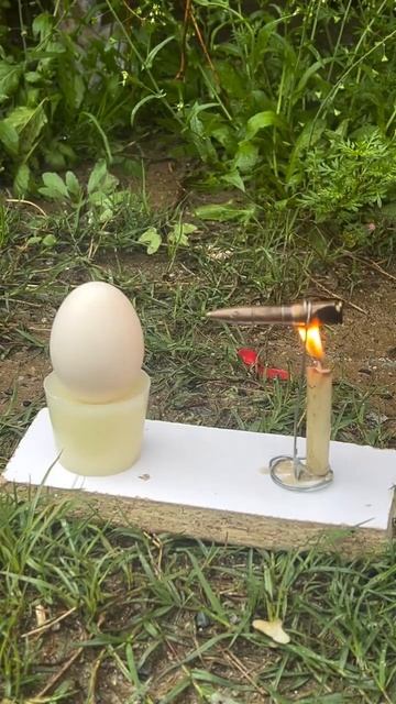 💥Пуля против яйца