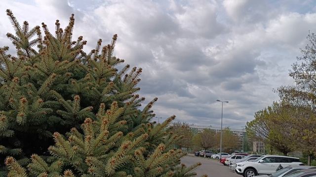 1000248582.mp4.   Бравенькая О.П.вернулась.Мой сон сбылся..У меня дар..