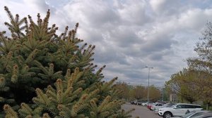 1000248582.mp4.   Бравенькая О.П.вернулась.Мой сон сбылся..У меня дар..😅😄💖💕