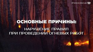 Костер в лесу может стоить до 2 миллионов рублей