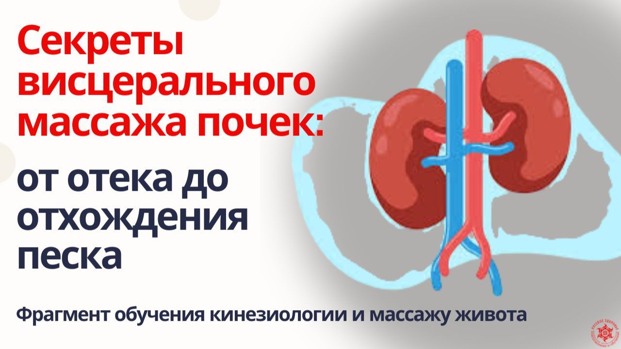 Секреты висцерального массажа почек: от отека до отхождения песка. Фрагмент обучения