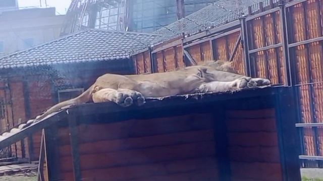 FBFP8474 Видео от Ивана