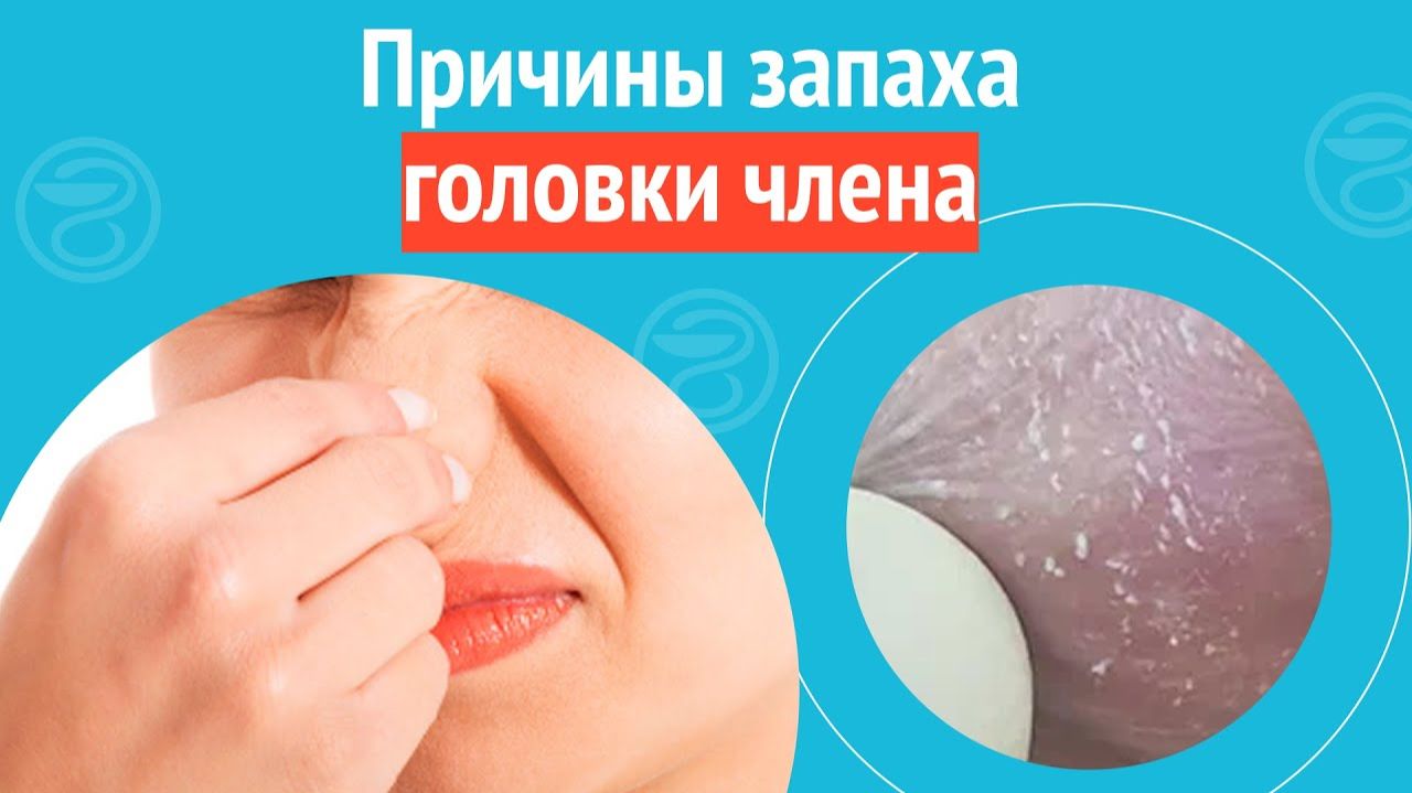 Дочь обводит языком головку члена на природе фото Дочь обводит языком головку члена на природе фото