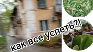 куча дел в такую погоду,как все успеть