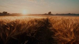 В божественных объятиях .mp4