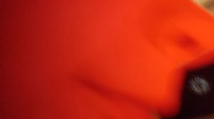 мой влог с полей