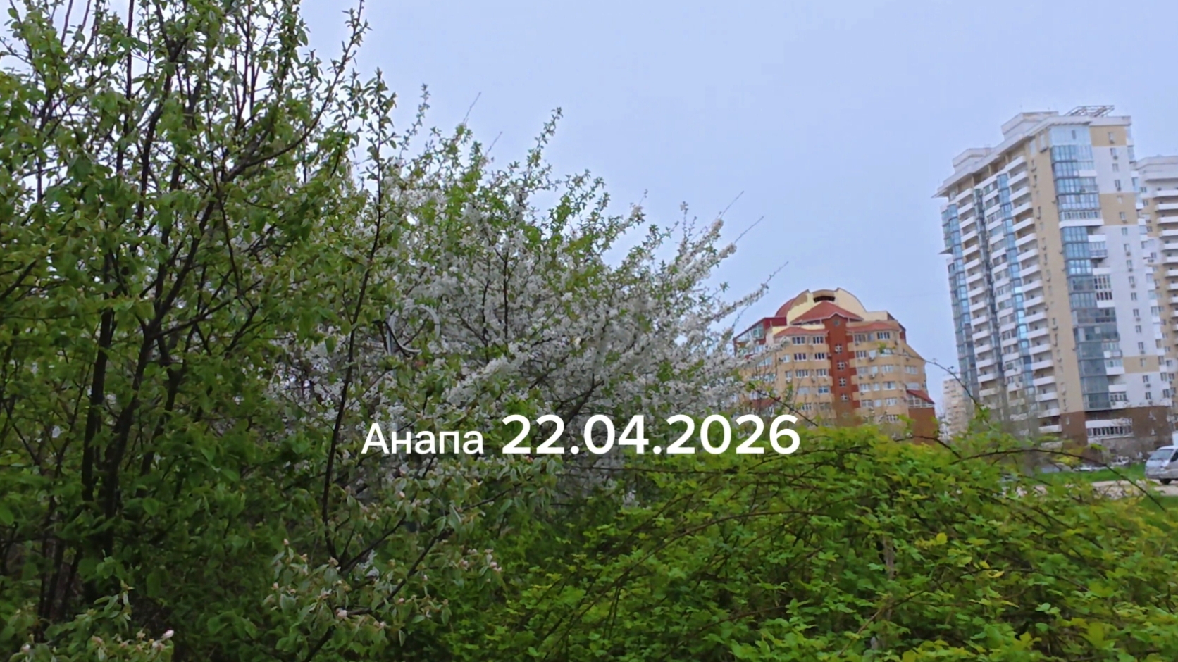 Анапа 22.04.2026