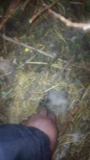 Наше мило пополненье !!!! што творица то ?