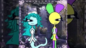 Видео со флуда, опис