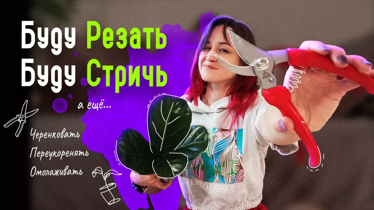 ✂️ Весенняя ОБРЕЗКА комнатных растений!🔪 ФИКУС, МОНСТЕРА, АНТУРИУМ