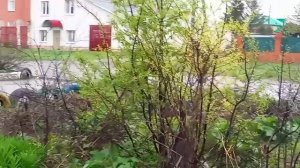 ПРОСТО ПРОГУЛЯЛАСЬ