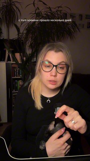 длинные истории у меня на канале