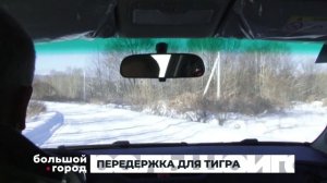 ПЕРЕДЕРЖКА ДЛЯ ТИГРА. Большой город 22/04/2026