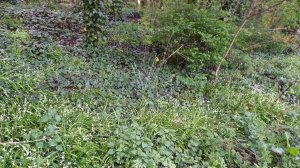 48 Hours To Your Love