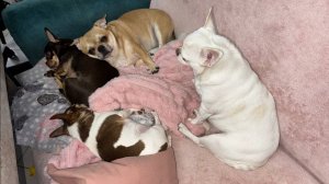 Всем самого доброго вечера и самых прекрасных снов.