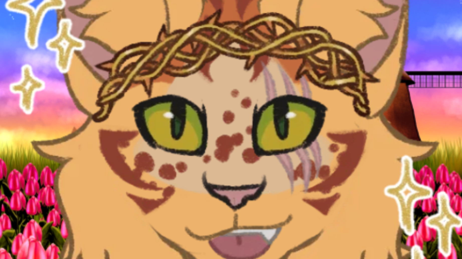 важная новость для костезвезда и пажочка.