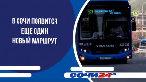 В Сочи появится еще один новый маршрут