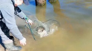 Запуск от 22.04.26