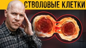 Стволовые клетки: где заканчивается маркетинг и начинается регенерация?