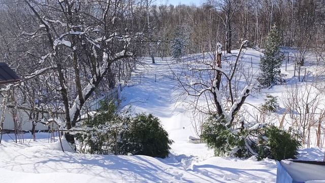 Солнечное весеннее утро!