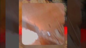 1000056811.mp4 (Собака наблюдает за устройством лестницы на 2-ой этаж в доме А-фрейм)