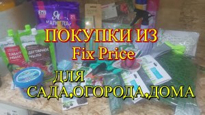 Fix Price: где логика отдыхает, а кошелёк радуется