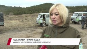 Как бороться с лесными пожарами?