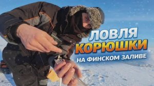 КОРЮШКА.ПЕРВЫЙ ВЫЕЗД И ТАКОЙ КЛЕВ.ФИНСКИЙ ЗАЛИВ.ЭЛЬДОРАДО РЫБАЦКОЕ.СНАСТЬ КОТОРАЯ ЛОВИТ