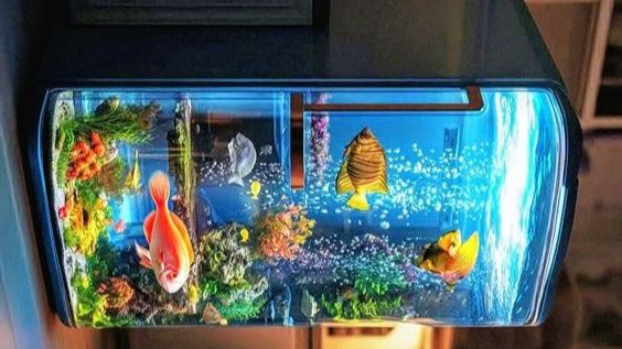 Узнай как это сделано!