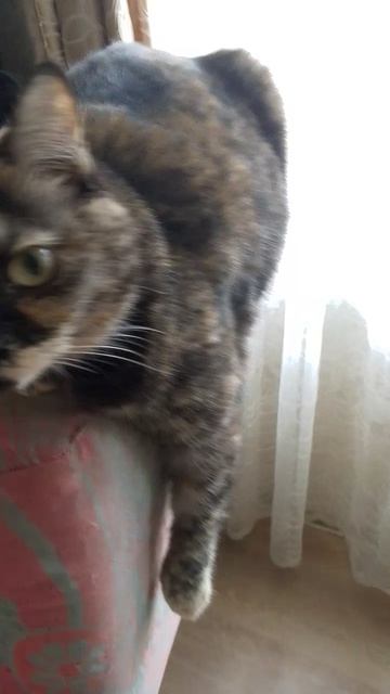 Бусинка опять плывет 😂😂😊😃🥰