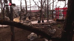 Что нового в «Малинках»?