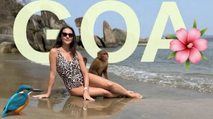 GOA, пляж Agonda, Cuba Agonda (03.2026)