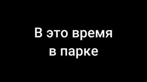 Поездка на лошадках Ожидание/реальность