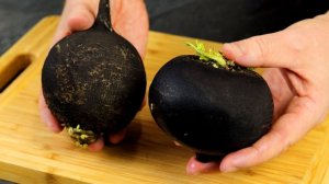 ВКУСНЕЙШАЯ закуска из ЧЕРНОЙ РЕДЬКИ! Просто, дешево и ОЧЕНЬ полезно  Вкусные Советы