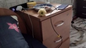 я такой печялик мне насрали в чайник😭 я такой веселик мне не срали в чайник 😃